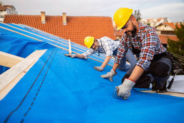 Roof Gutter Cleaning in Gloucester City, NJ